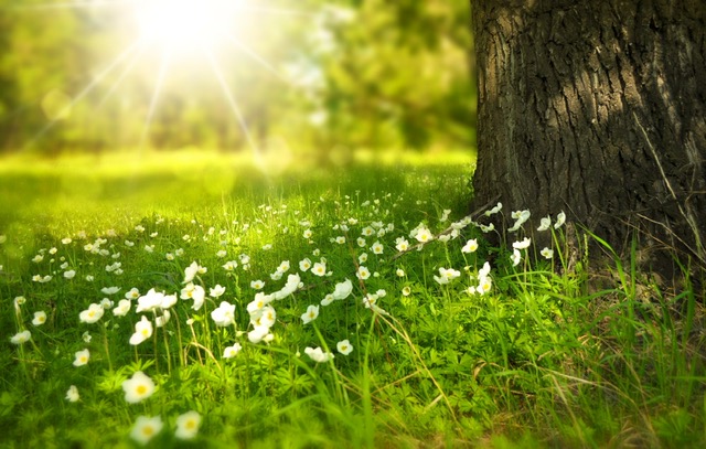 EveryWoman Health | Cognitive Behavioural Therapy