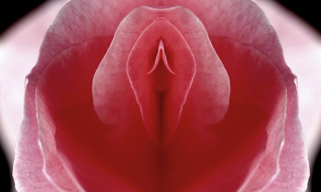Vulval Care | EveryWoman Health